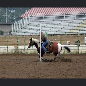 Meet your Posher, Jasmin